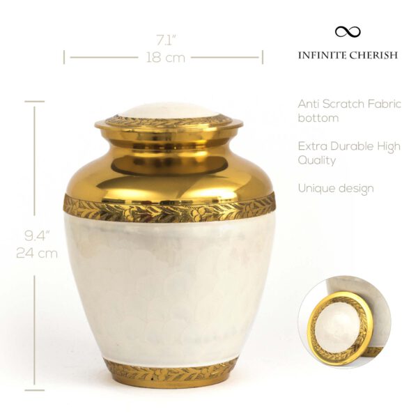 White and gold cremation urn for ashes, white body with a gold plating at the top, large, 200 cubic inch