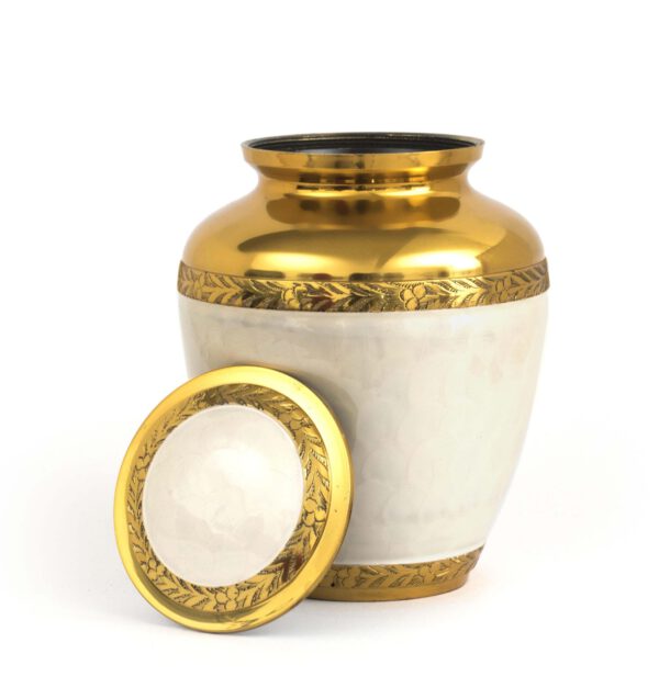White and gold cremation urn for ashes, white body with a gold plating at the top, large, 200 cubic inch